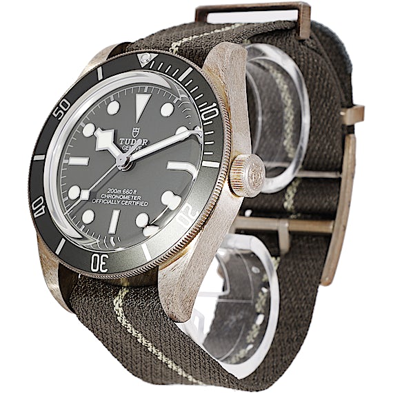 Tudor Black Bay 79010SG Tudor Black Bay 79010SG