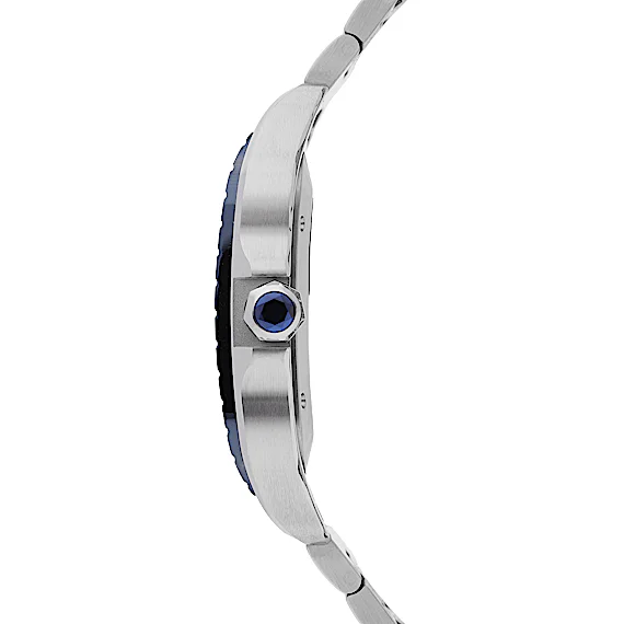 Cartier Santos WSSA0048 Cartier Santos WSSA0048