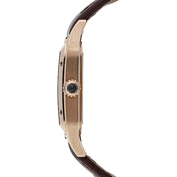 Cartier Santos WHSA0030 Cartier Santos WHSA0030