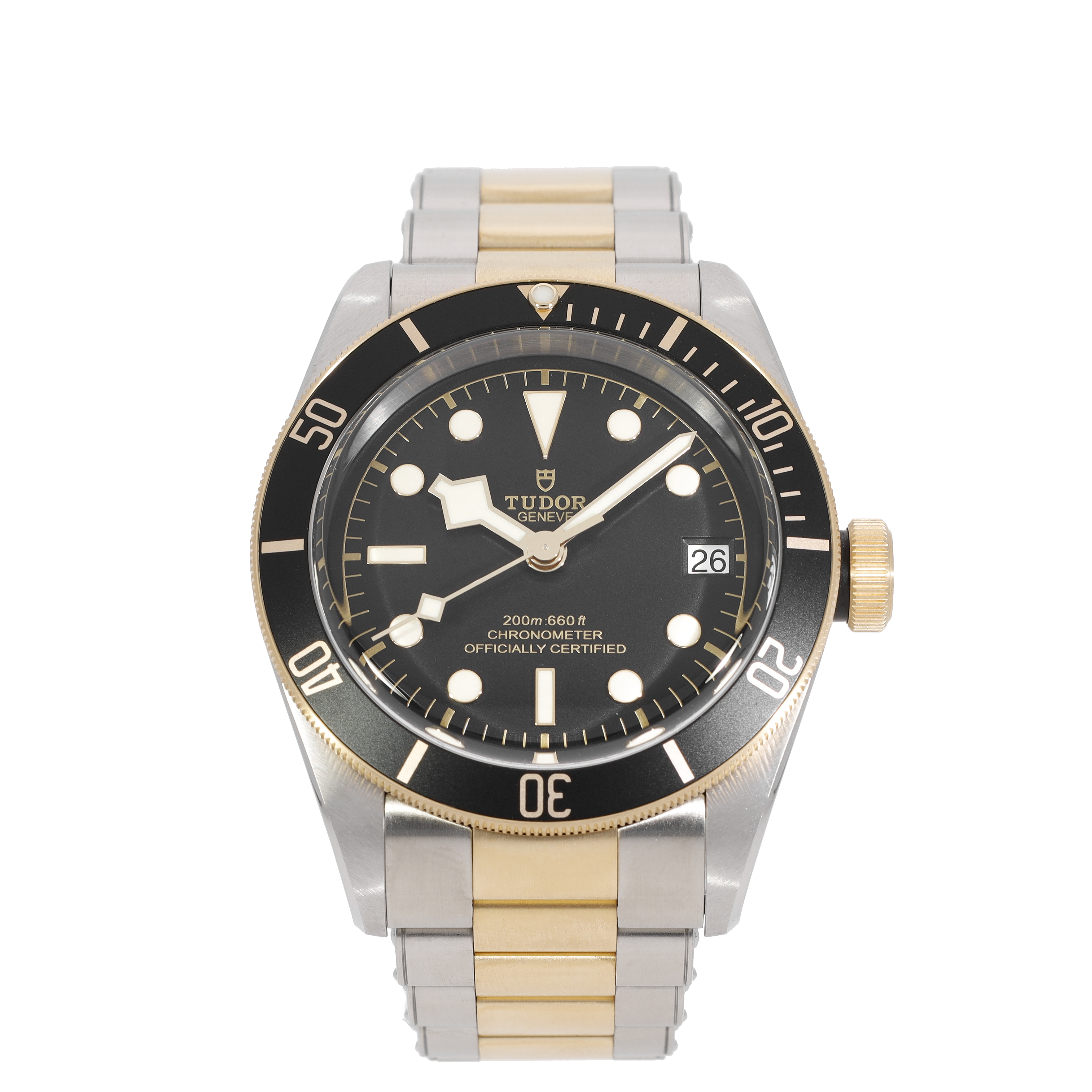 Tudor Black Bay 79733N