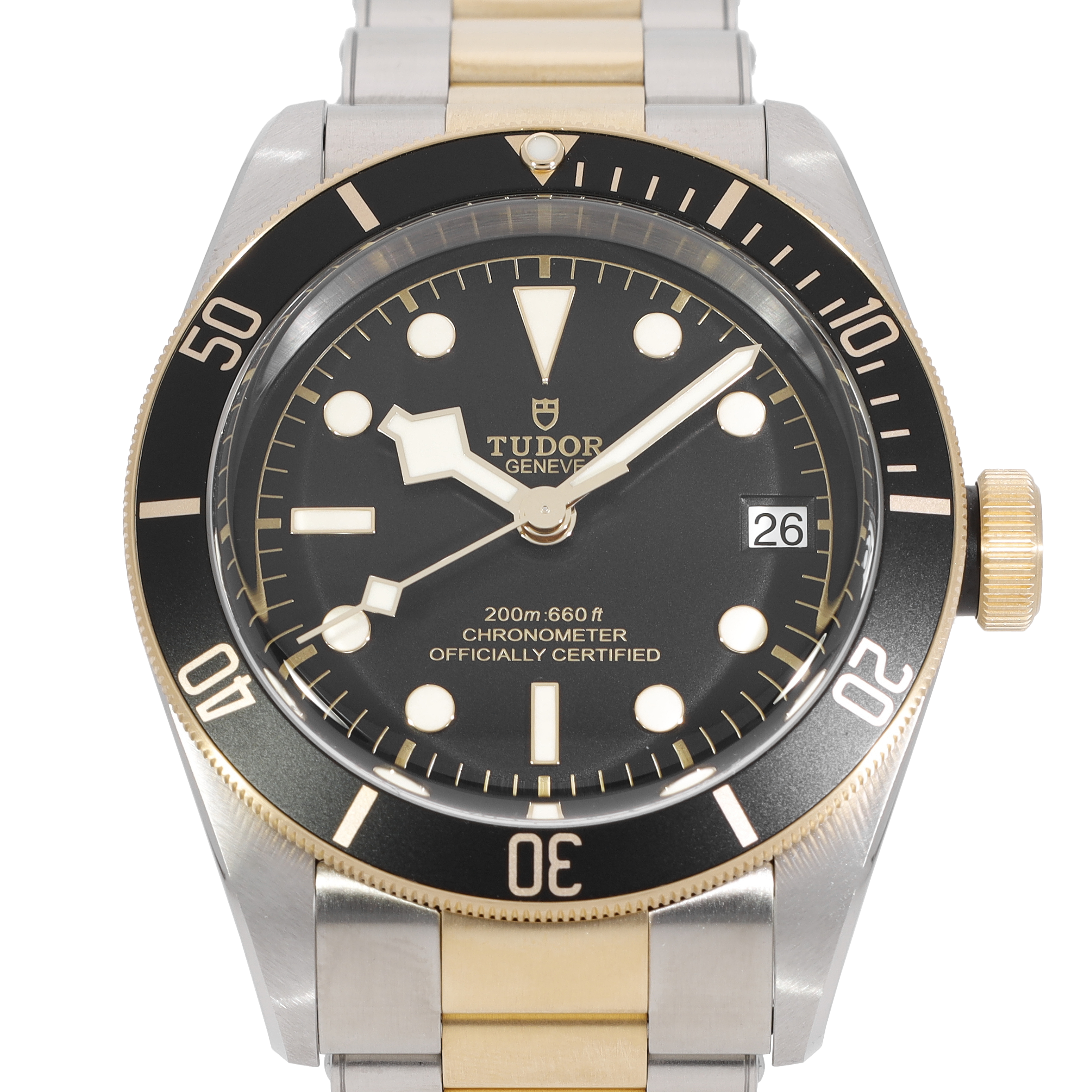 Tudor Black Bay 79733N