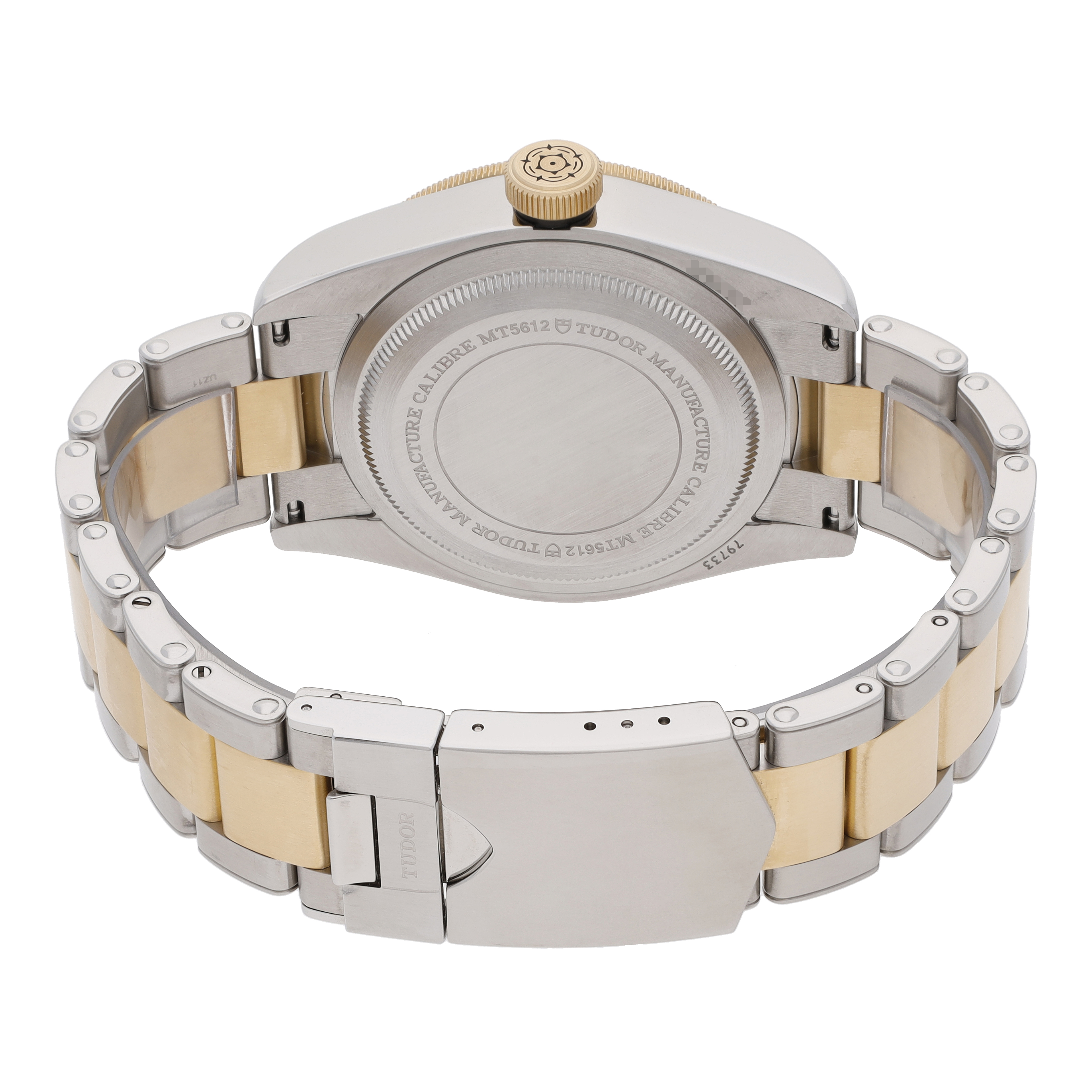 Tudor Black Bay 79733N