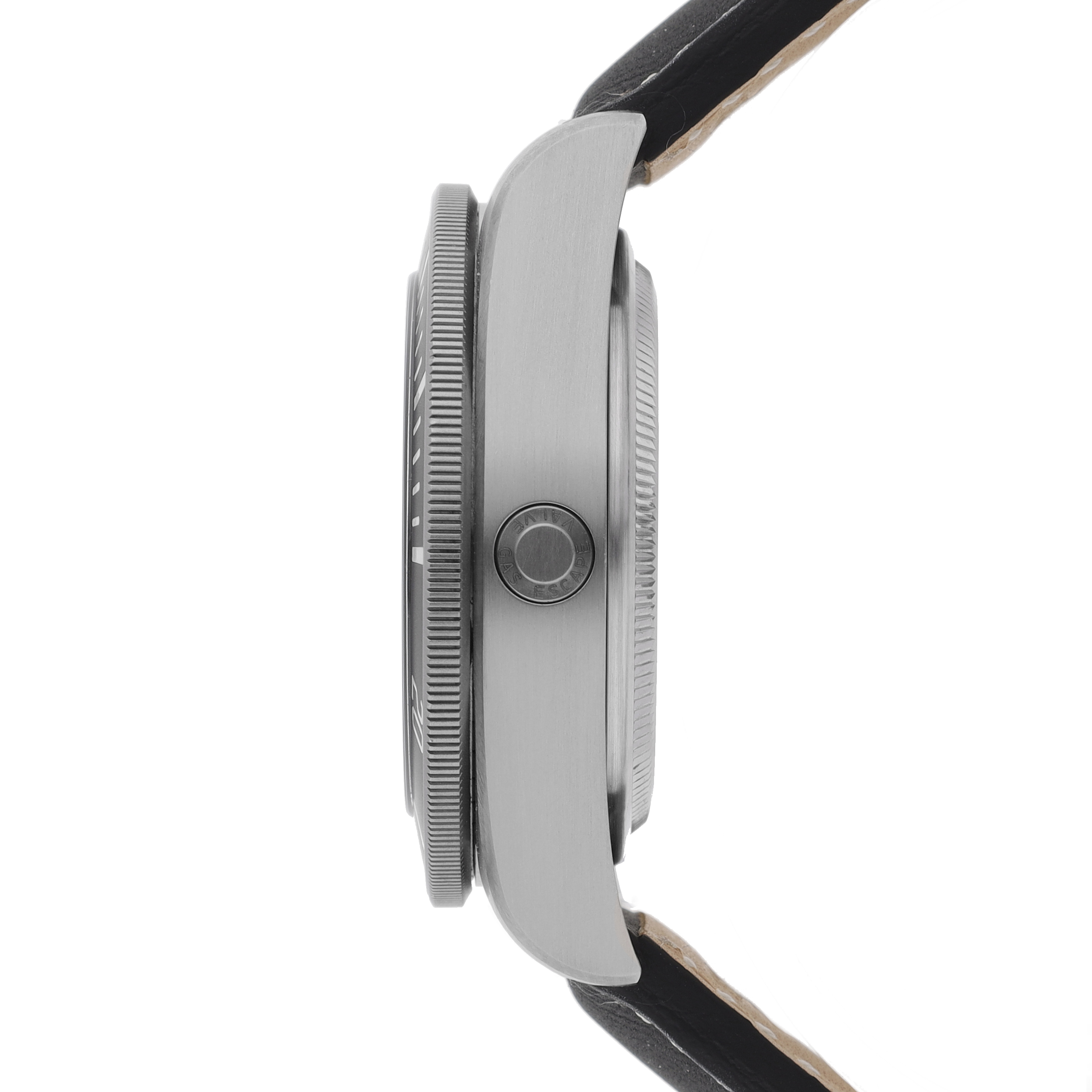 Tudor Pelagos 25610TNL