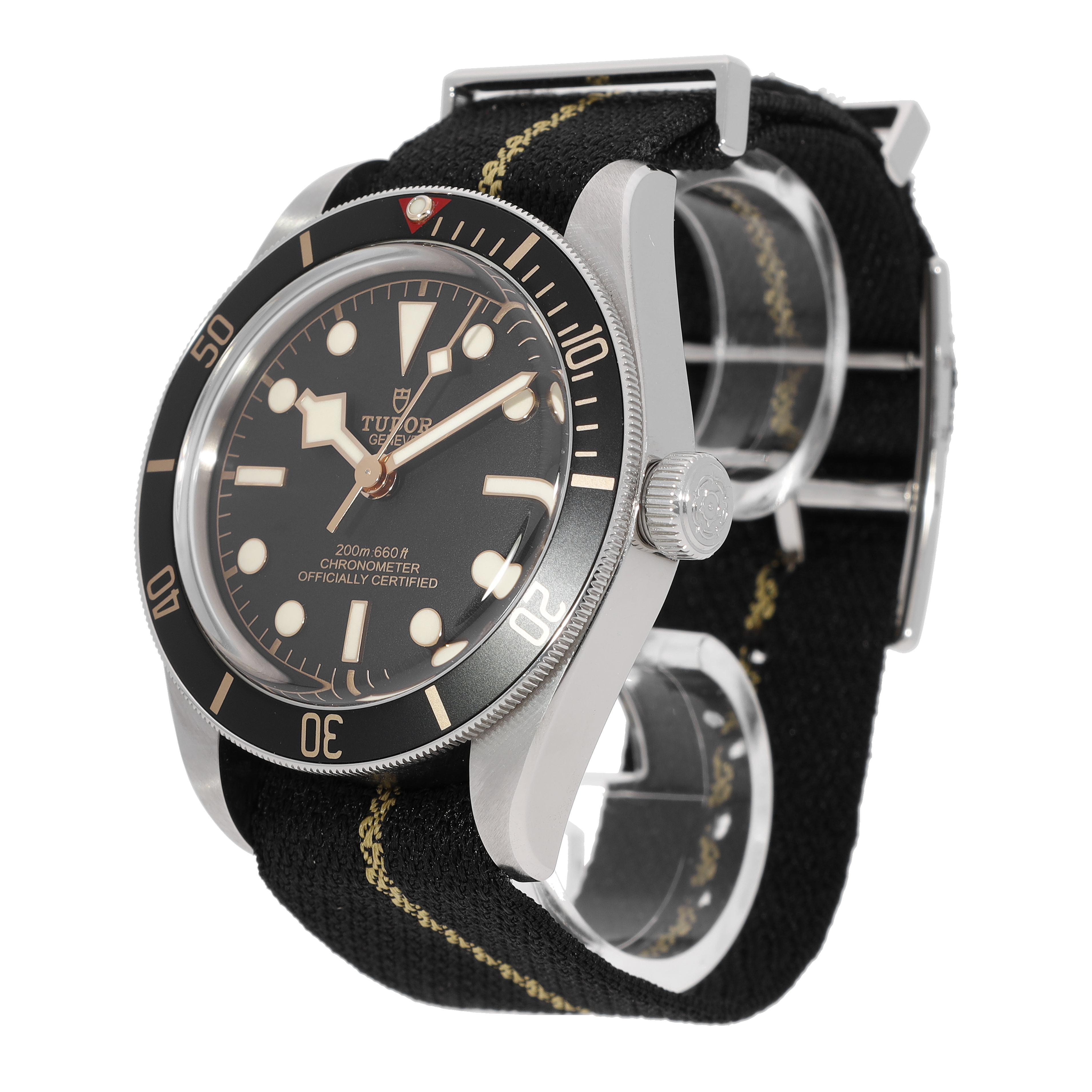 Tudor Black Bay 79030N