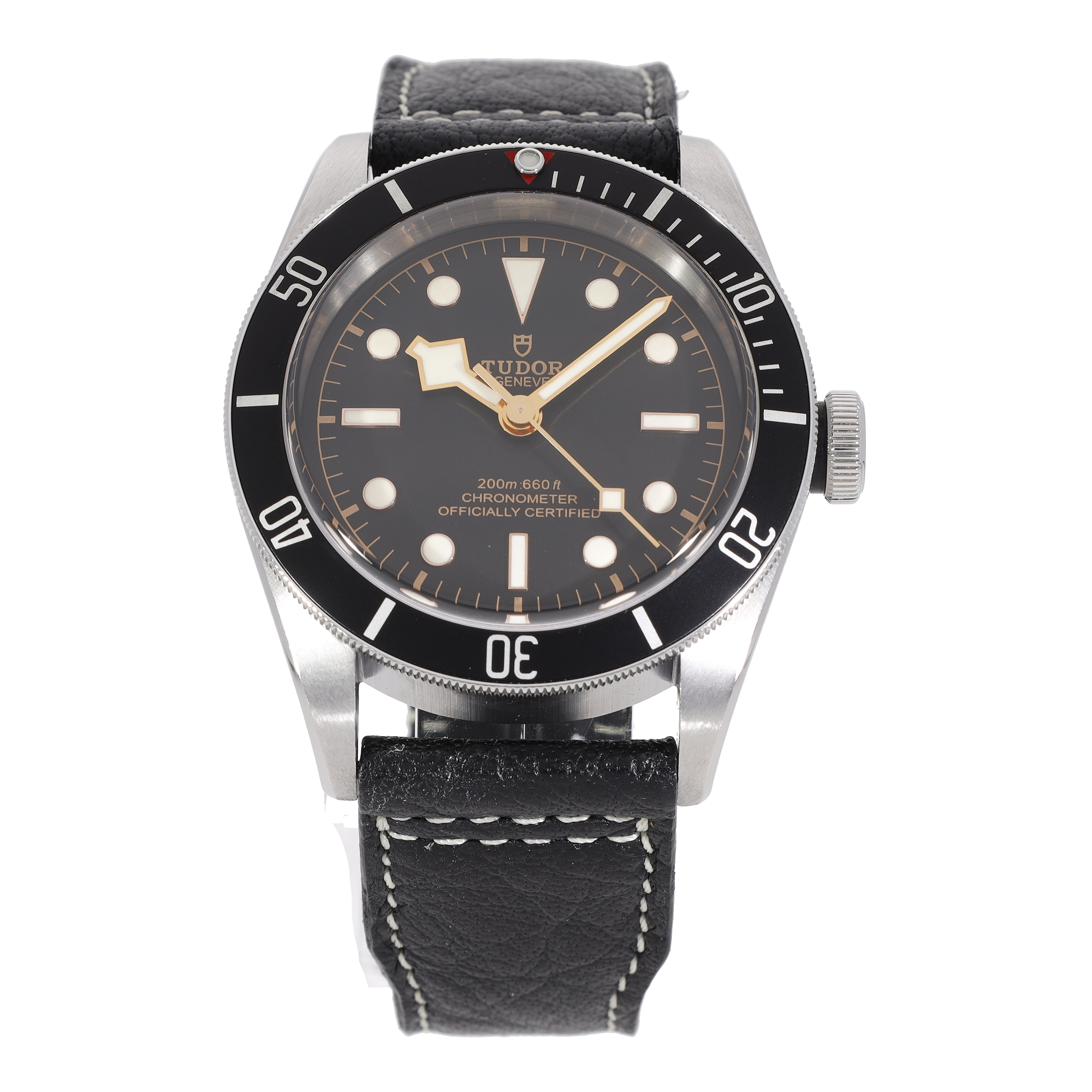 Tudor Black Bay 79230N