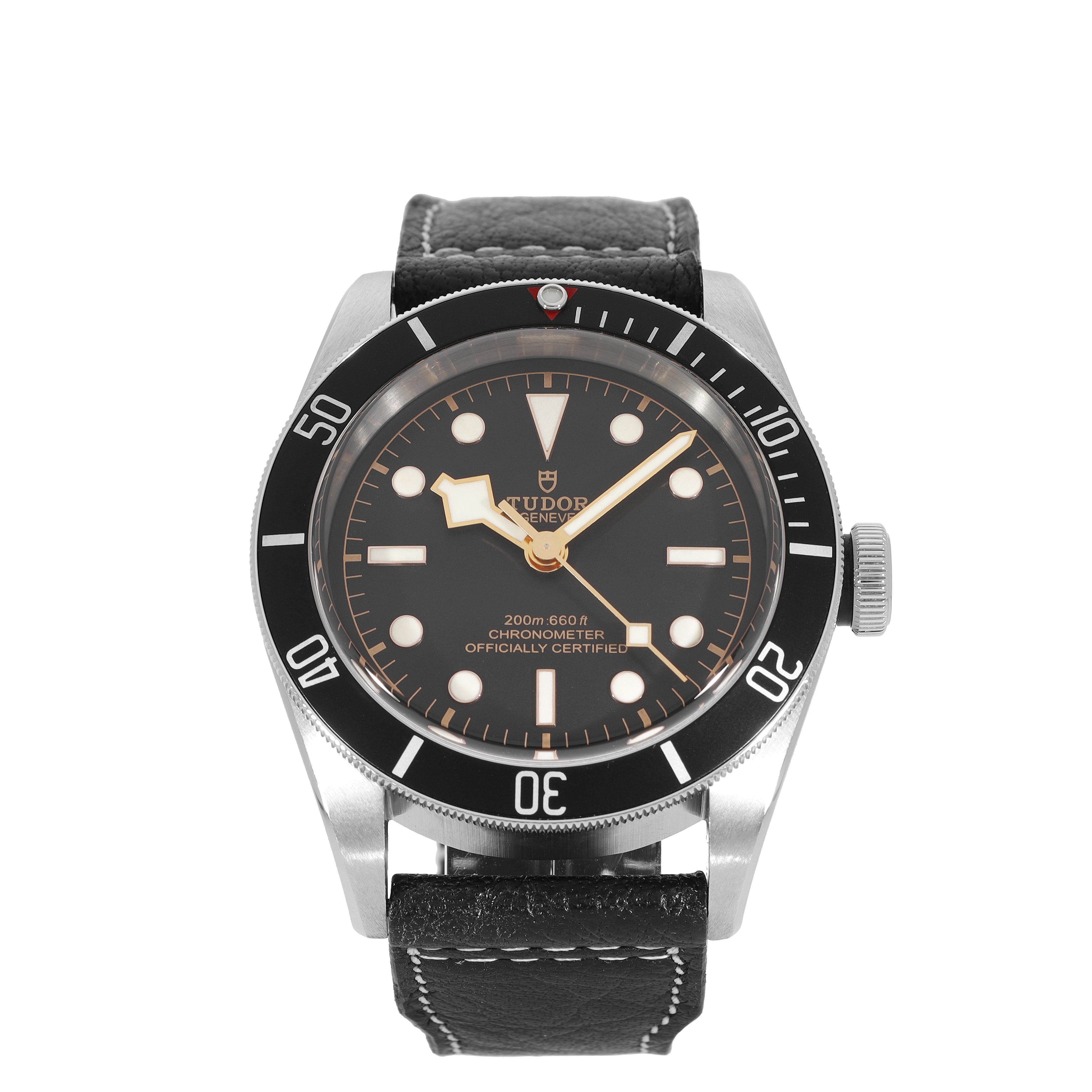 Tudor Black Bay 79230N