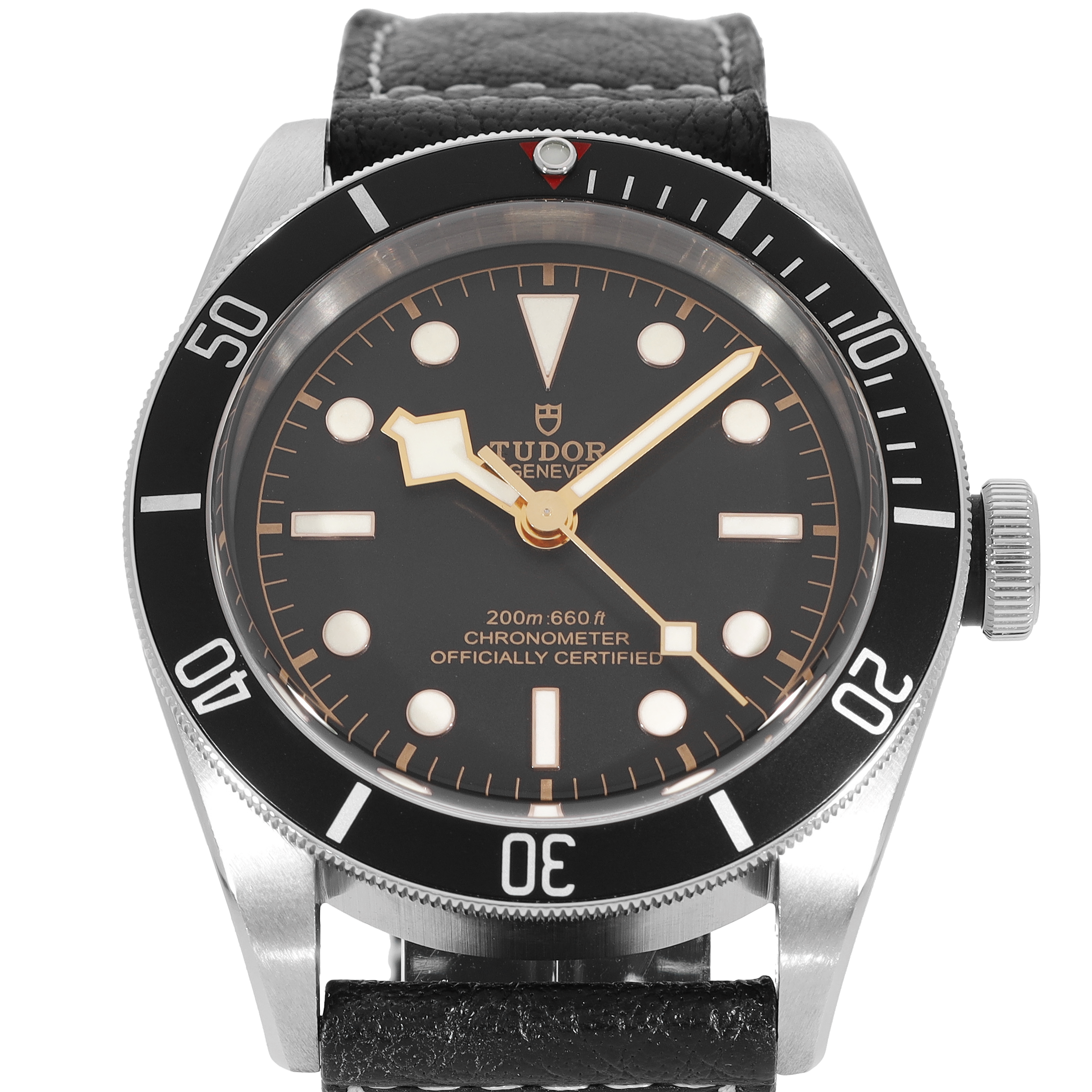 Tudor Black Bay 79230N