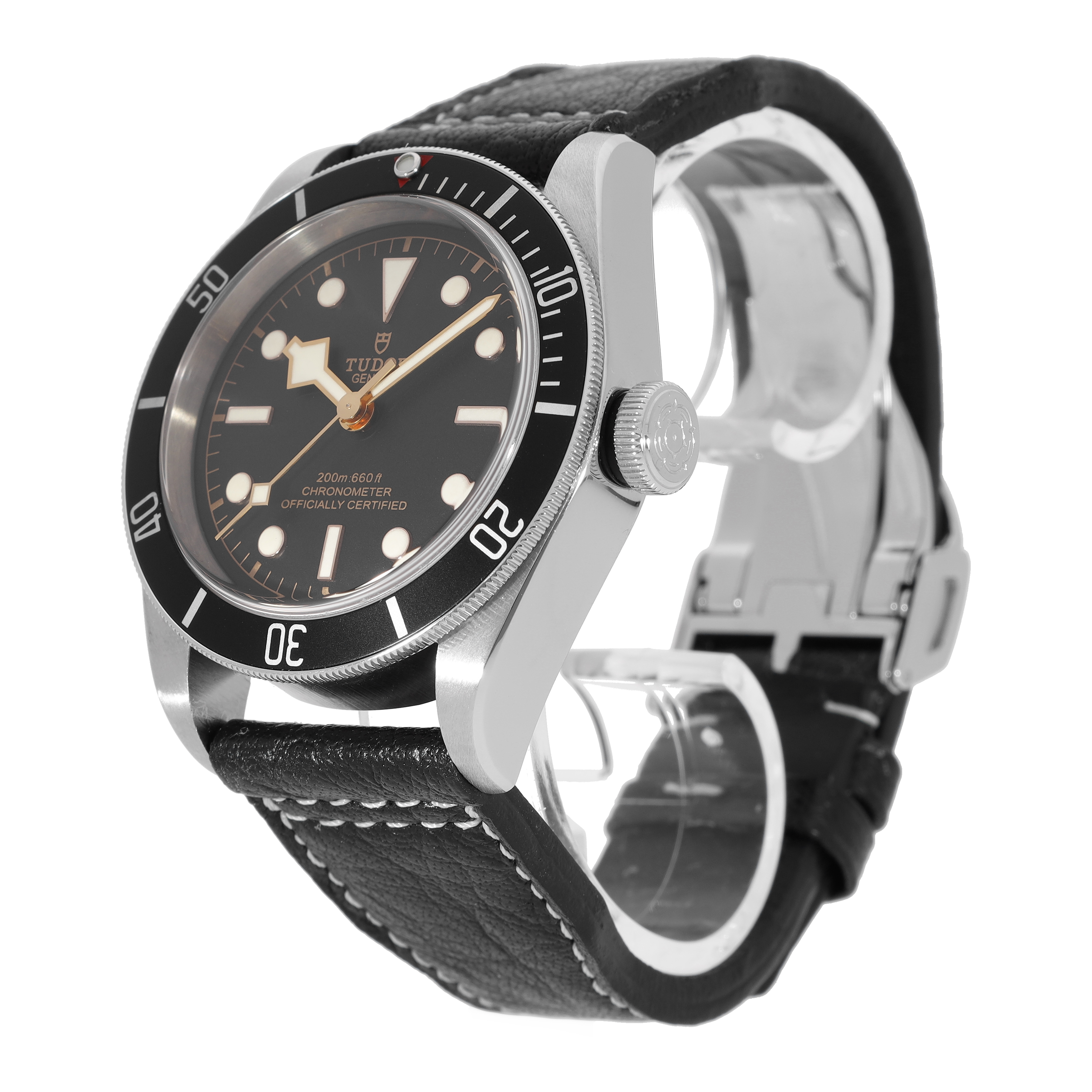 Tudor Black Bay 79230N