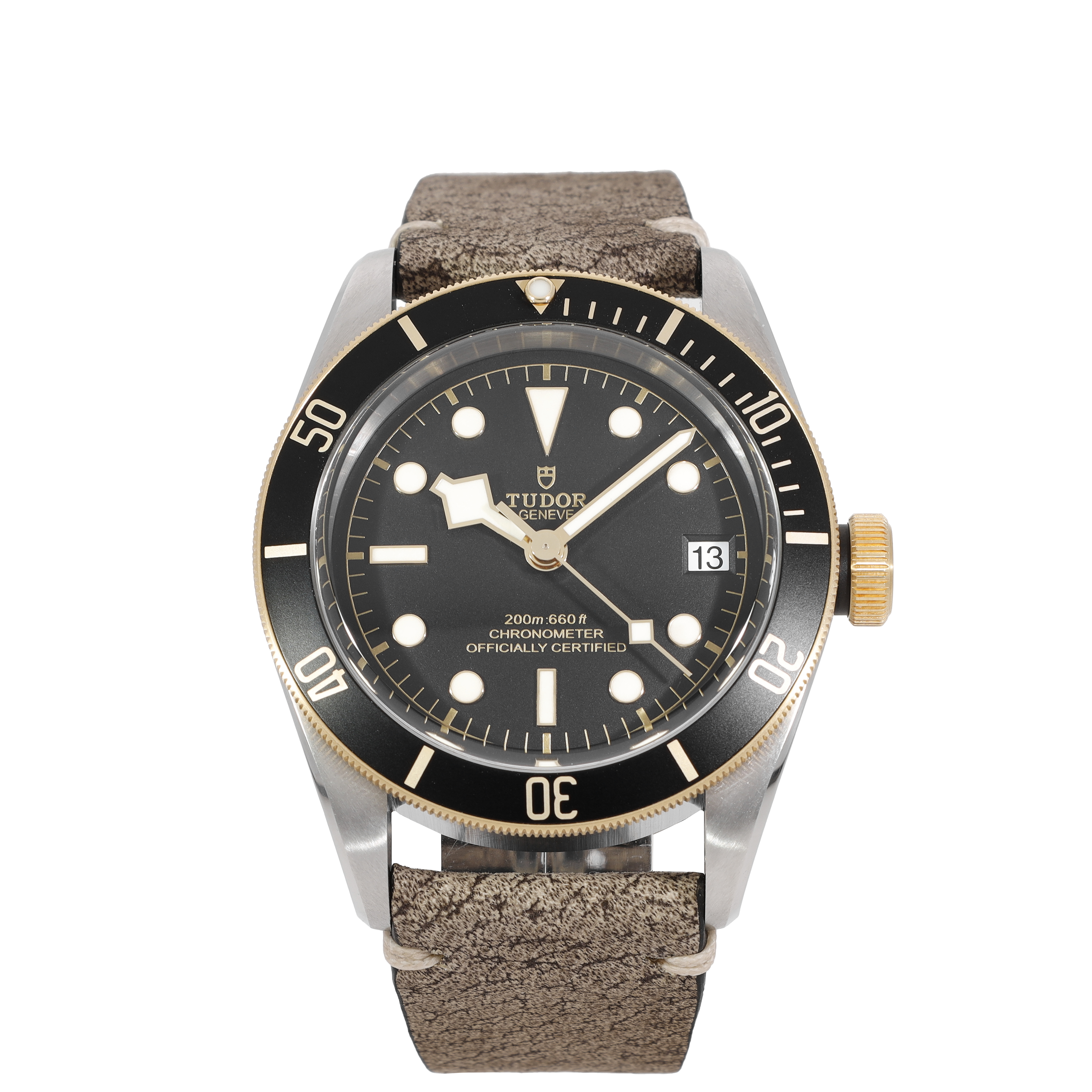 Tudor Black Bay 79733N