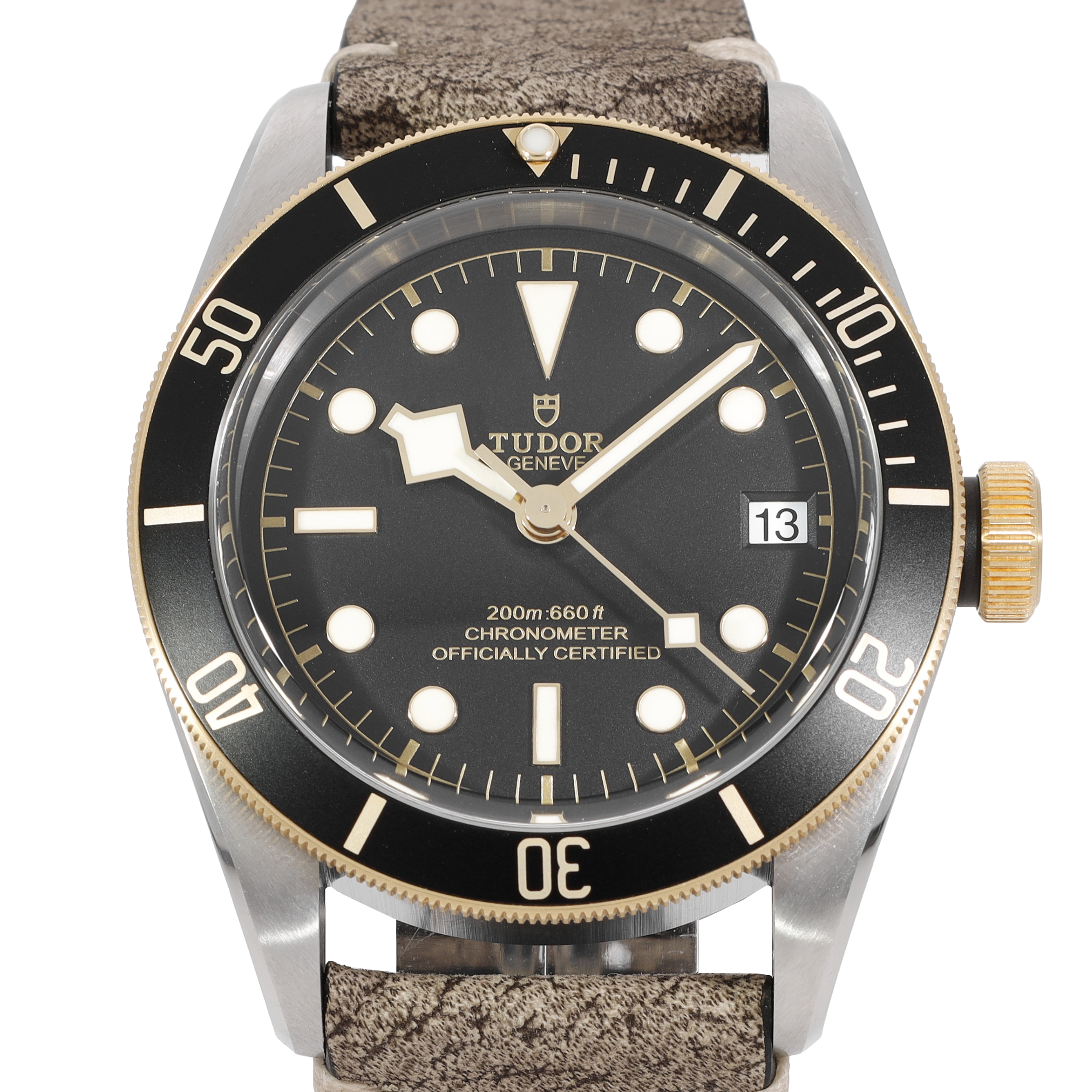 Tudor Black Bay 79733N