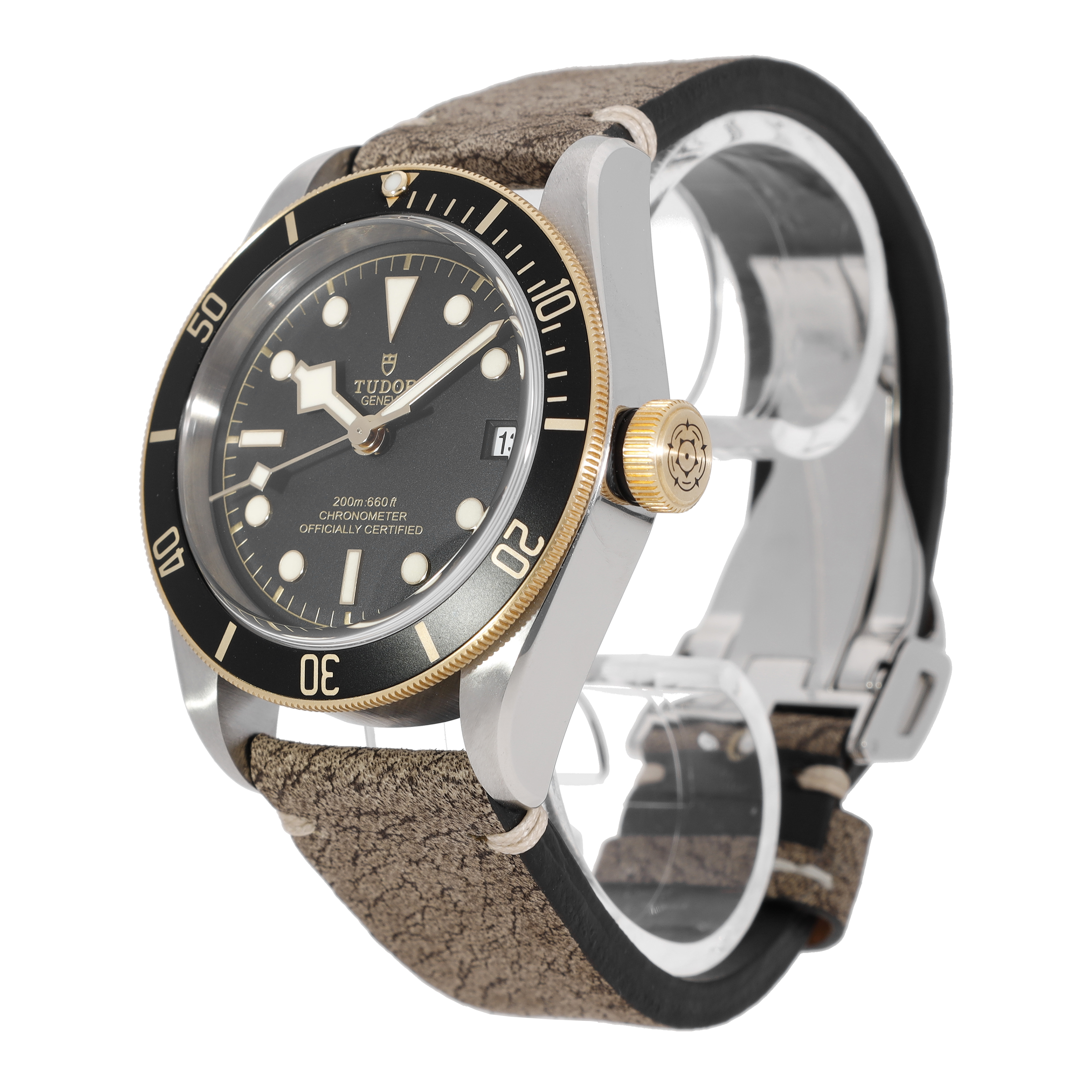 Tudor Black Bay 79733N