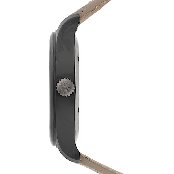 IWC Pilot's Watch IW326901 IWC Pilot's Watch IW326901