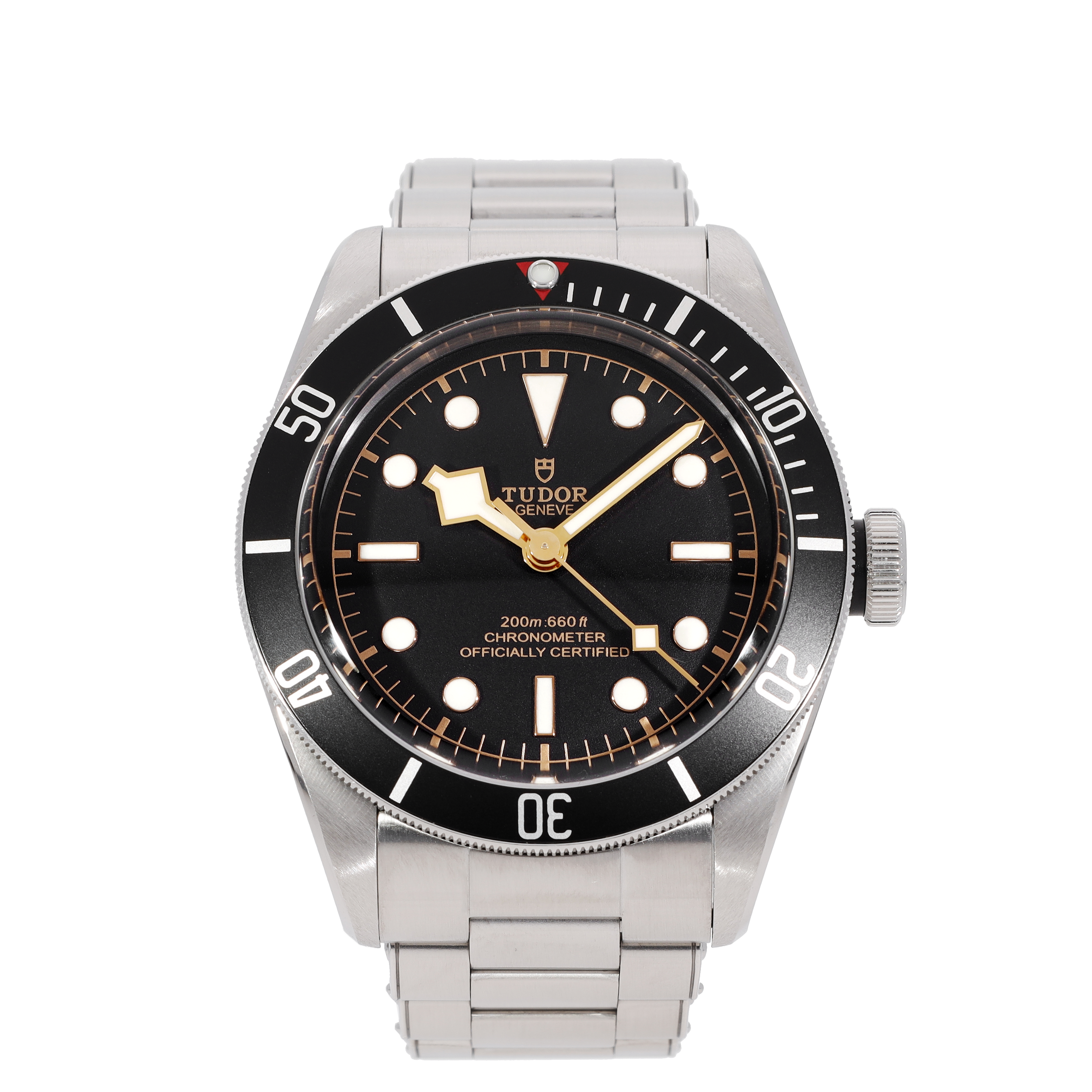 Tudor Black Bay 79230N