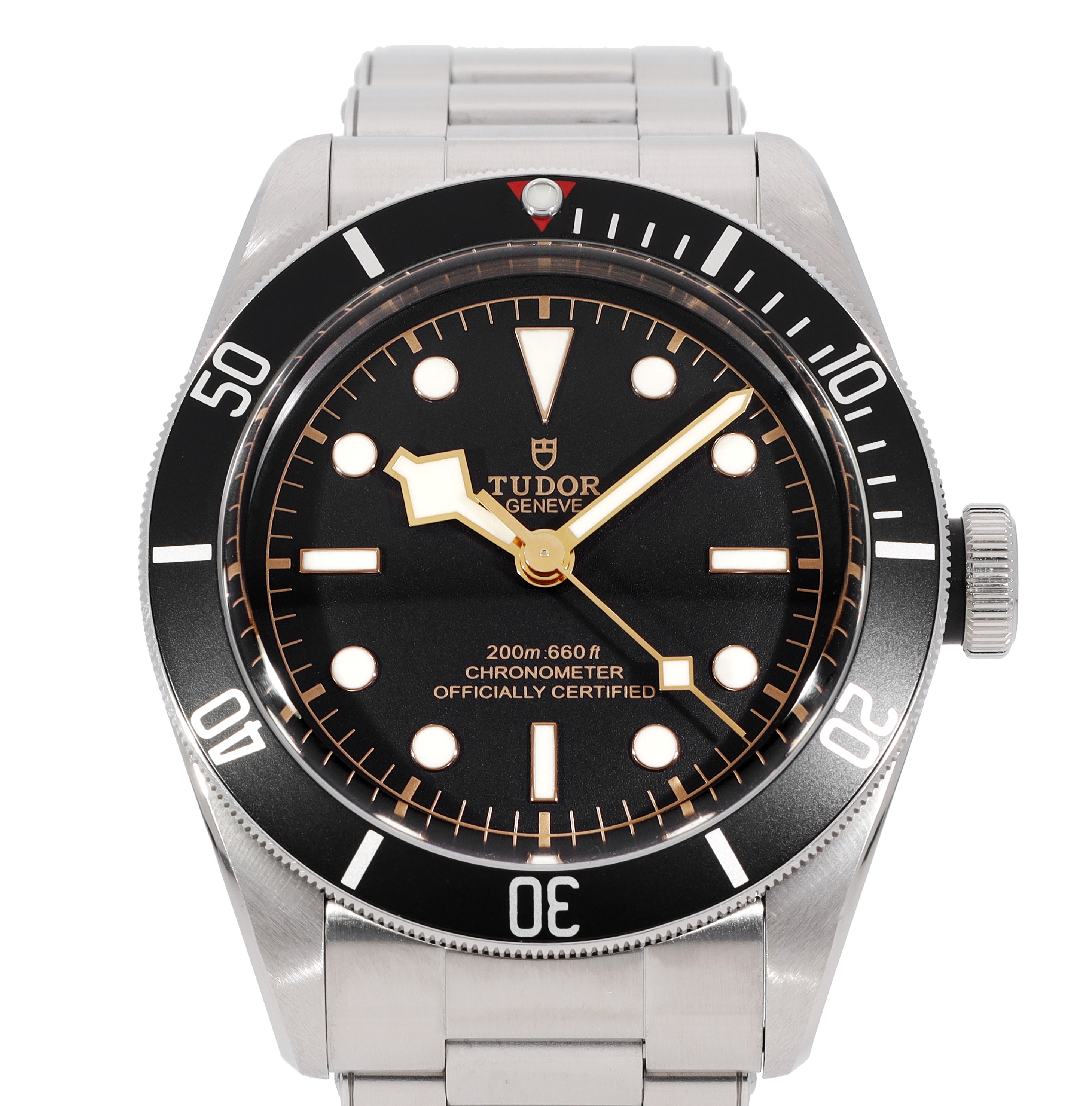 Tudor Black Bay 79230N