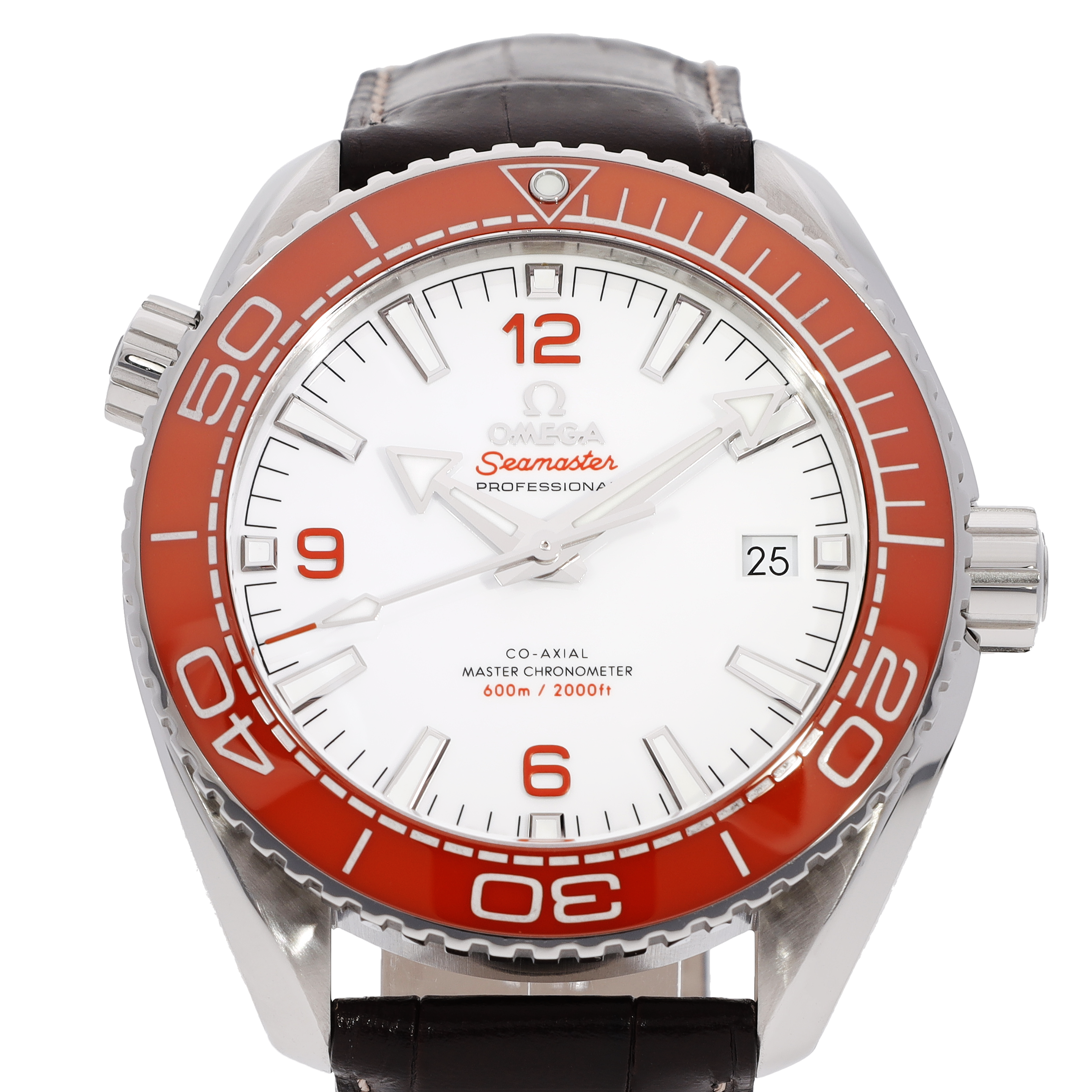 Omega Omega Seamaster Planet Ocean 600m