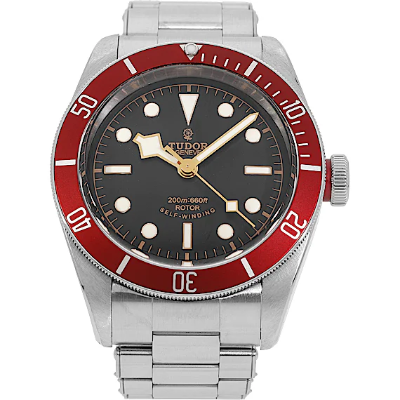 Tudor Black Bay 79220R Tudor Black Bay 79220R