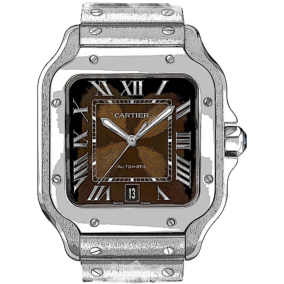 Cartier Santos WSSA0064 Cartier Santos WSSA0064